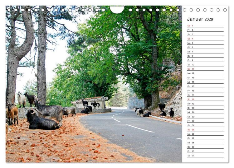 Produktbild: Wildromatisches Korsika (Wandkalender 2026 DIN A4 quer), CALVENDO Monatskalender