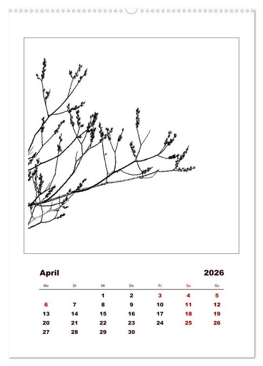 Produktbild: LignoGrafica - Muster und Strukturen der B&auml;ume (Wandkalender 2026 DIN A2 hoch), CALVENDO Monatskalender