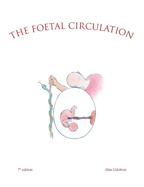 Produktbild: The Foetal Circulation