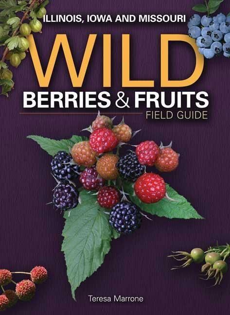Produktbild: Wild Berries & Fruits Field Guide of Illinois, Iowa and Missouri