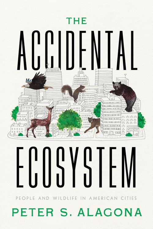 Produktbild: The Accidental Ecosystem