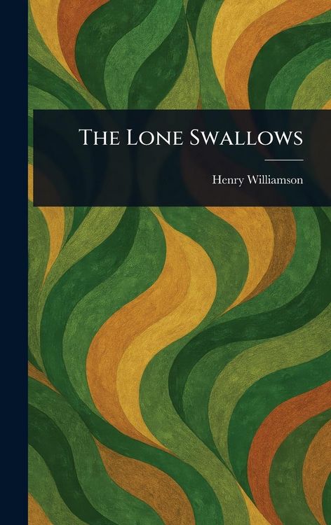 Produktbild: The Lone Swallows