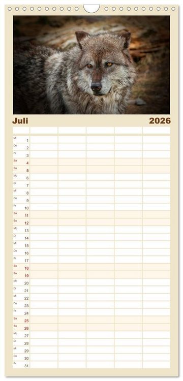 Produktbild: Familienplaner 2026 - W&ouml;lfe - sie sind wieder da mit 5 Spalten (Wandkalender, 21 x 45 cm) CALVENDO