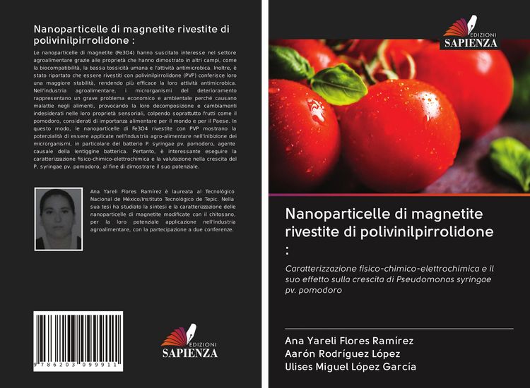 Produktbild: Nanoparticelle di magnetite rivestite di polivinilpirrolidone :