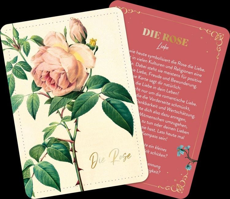 Produktbild: Die geheimnisvolle Sprache der Blumen &ndash; 50 Orakelkarten f&uuml;r das ganze Jahr