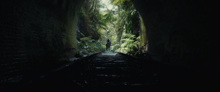 Produktbild: Planet der Affen - New Kingdom