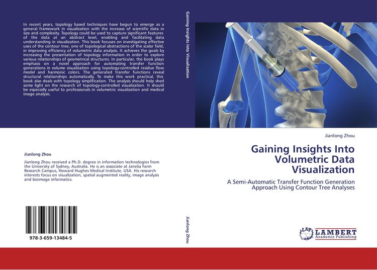 Produktbild: Gaining Insights Into Volumetric Data Visualization