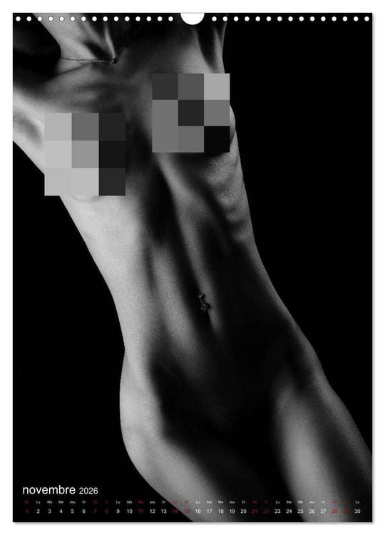 Produktbild: Apparat lumineux (Calendrier mural 2026 DIN A3 horizontal), CALVENDO calendrier mensuel