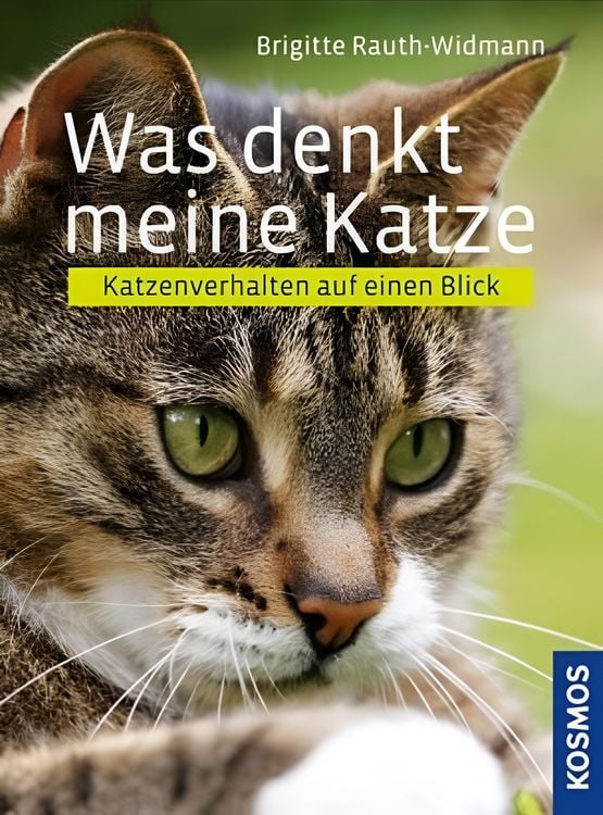 Produktbild: Was denkt meine Katze?