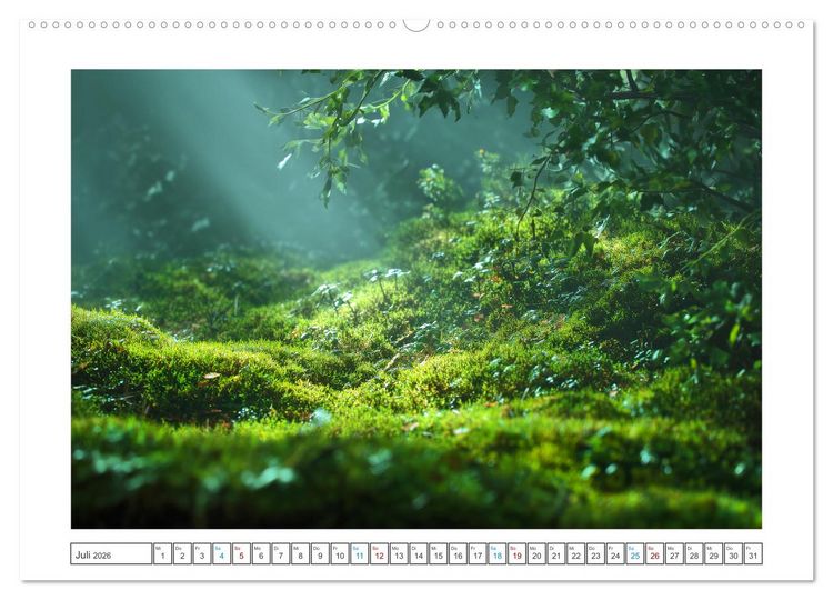 Produktbild: Magie der Jahreszeiten (hochwertiger Premium Wandkalender 2026 DIN A2 quer), Kunstdruck in Hochglanz