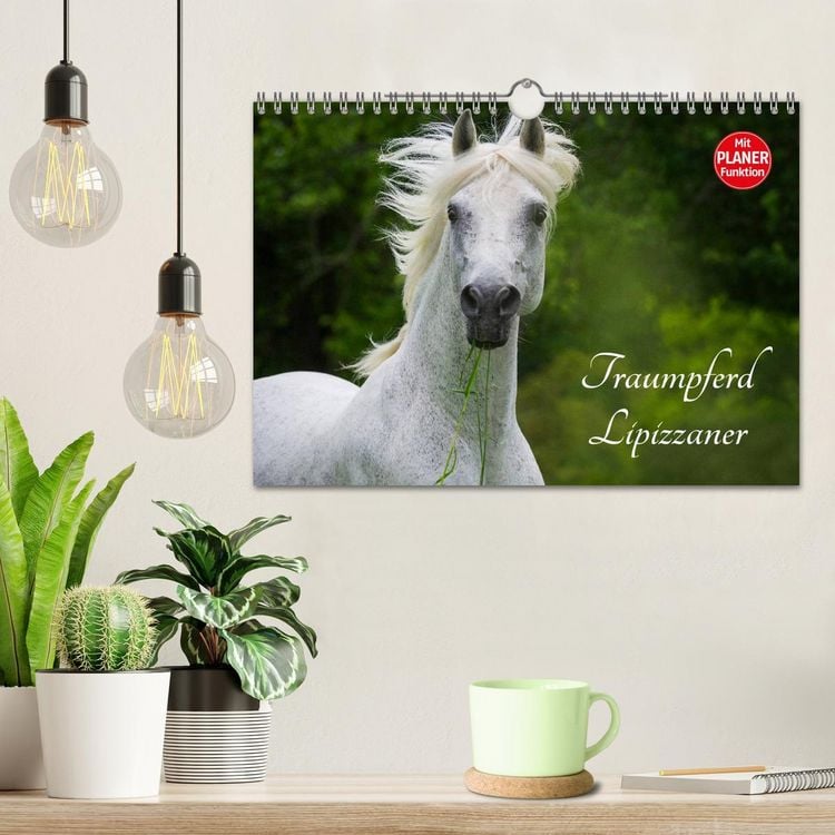Produktbild: Traumpferd Lipizzaner (Wandkalender 2026 DIN A4 quer), CALVENDO Monatskalender