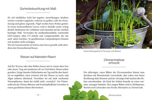 Produktbild: Das gro&szlig;e kleine Buch: Mein Garten im Fr&uuml;hling
