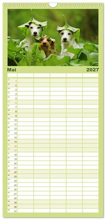 Produktbild: Familienplaner 2027 - Die Parson-Russell-Terrier...mit neuen Abenteuern aus der Hundeknipserei mit 5 Spalten (Wandkalender, 21 x 45 cm) CALVENDO