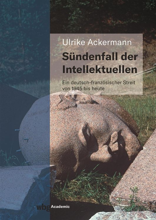 Produktbild: S&uuml;ndenfall der Intellektuellen