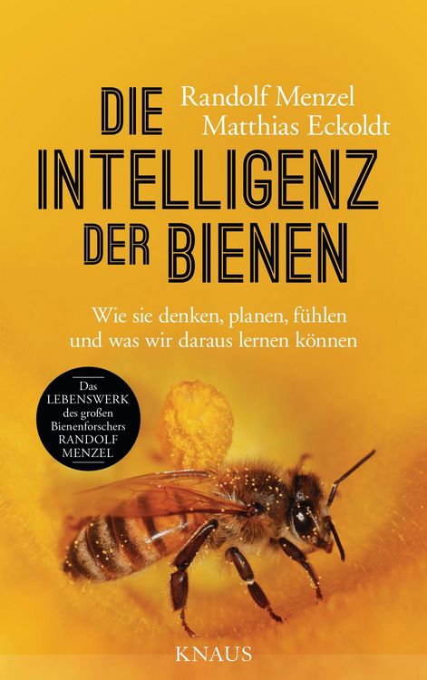 Produktbild: Die Intelligenz der Bienen