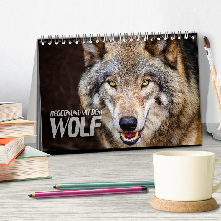 Produktbild: Begegnung mit dem Wolf (Tischkalender 2026 DIN A5 quer), CALVENDO Monatskalender