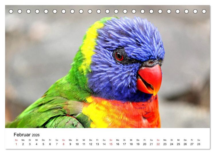 Produktbild: Papageien. Knallbunte Aras und Co. (Tischkalender 2026 DIN A5 quer), CALVENDO Monatskalender