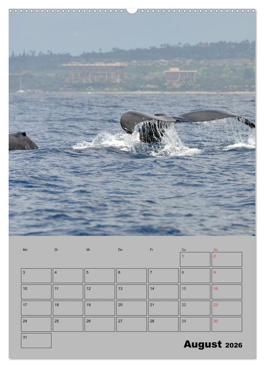 Produktbild: Hawaii - Land of Aloha (Wandkalender 2026 DIN A2 hoch), CALVENDO Monatskalender