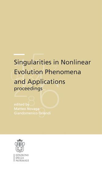 Produktbild: Singularities in nonlinear evolution phenomena and applications