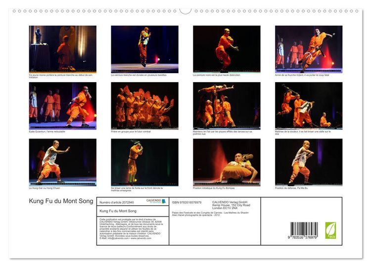 Produktbild: Kung Fu du Mont Song (Calendrier mural 2026 DIN A2 vertical) calendrier de bureau