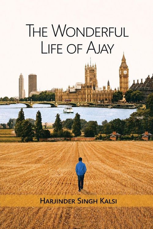 Produktbild: The Wonderful Life of Ajay