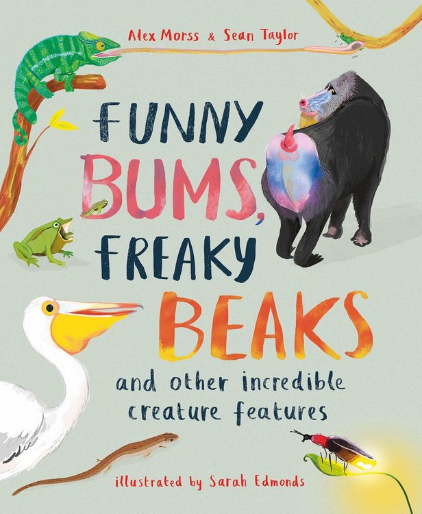 Produktbild: Funny Bums, Freaky Beaks