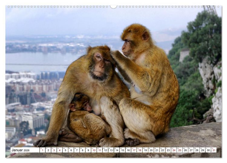Produktbild: Gibraltar - Gro&szlig;britannien am Mittelmeer (hochwertiger Premium Wandkalender 2026 DIN A2 quer), Kunstdruck in Hochglanz