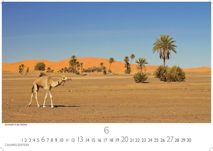 Produktbild: Tunesien Kalender 2027 &ndash; Wandkalender | Fotokalender Afrika 35x50 cm: Hochwertige Fotos, die die Kultur, Landschaften und Sehensw&uuml;rdigkeiten Tunesiens zeigen.