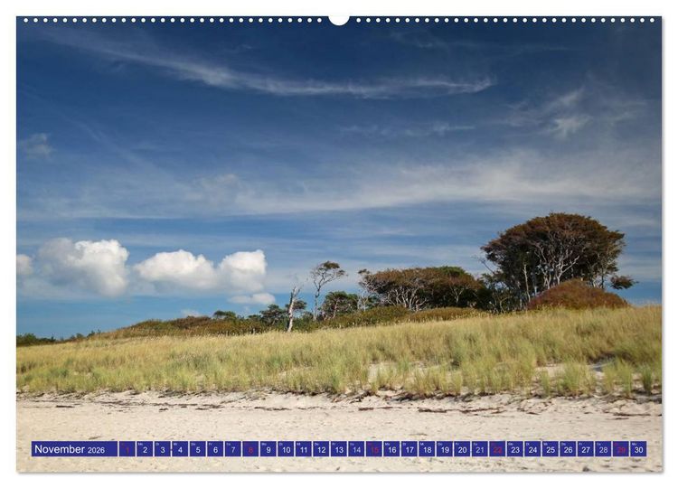 Produktbild: Weststrand Dar&szlig; (hochwertiger Premium Wandkalender 2026 DIN A2 quer), Kunstdruck in Hochglanz