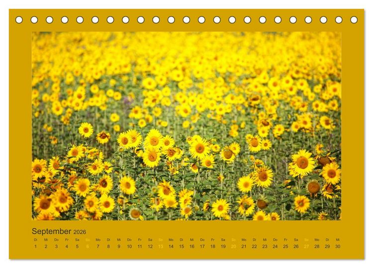 Produktbild: 12 Farben (Tischkalender 2026 DIN A5 quer), CALVENDO Monatskalender