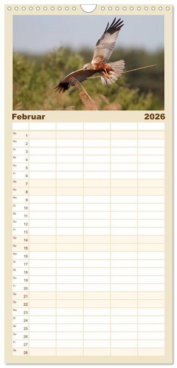 Produktbild: Familienplaner 2026 - Heimische Eulen und Greife mit 5 Spalten (Wandkalender, 21 x 45 cm) CALVENDO