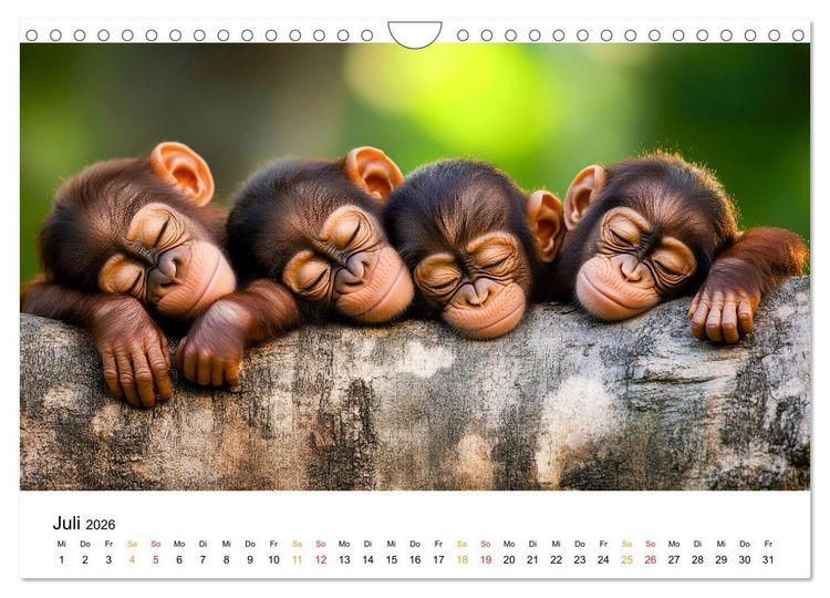 Produktbild: Wenn Tierchen tr&auml;umen (Wandkalender 2026 DIN A4 quer), CALVENDO Monatskalender