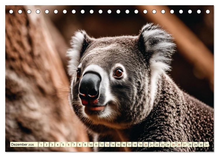 Produktbild: Australiens faszinierende Fauna (Tischkalender 2026 DIN A5 quer), CALVENDO Monatskalender