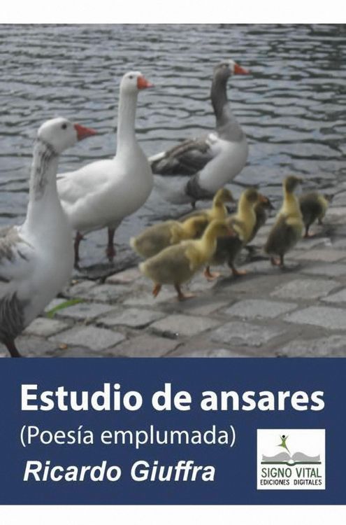 Produktbild: Estudio de Ansares
