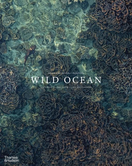 Produktbild: Wild Ocean