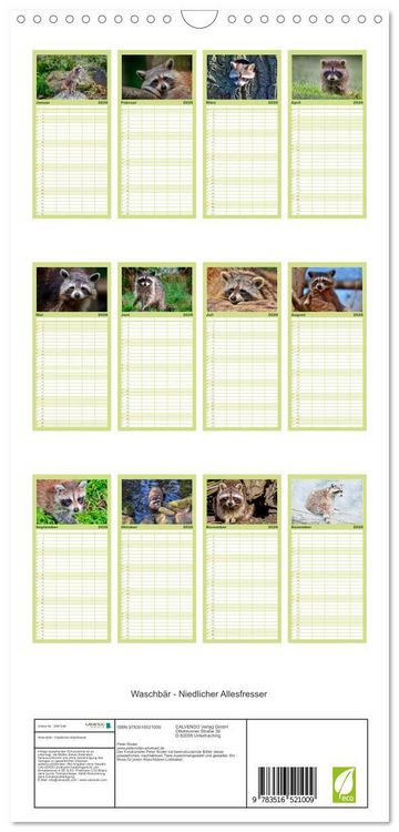 Produktbild: Familienplaner 2026 - Waschb&auml;r - Niedlicher Allesfresser mit 5 Spalten (Wandkalender, 21 x 45 cm) CALVENDO