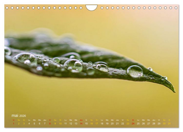 Produktbild: Au c&oelig;ur d&rsquo;une nature color&eacute;e (Calendrier mural 2026 DIN A4 vertical), CALVENDO calendrier mensuel