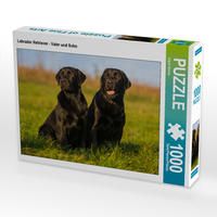 Produktbild: CALVENDO Puzzle Labrador Retriever - Vater und Sohn | 1000 Teile Lege-Gr&ouml;&szlig;e 64x48cm Foto-Puzzle f&uuml;r gl&uuml;ckliche Stunden