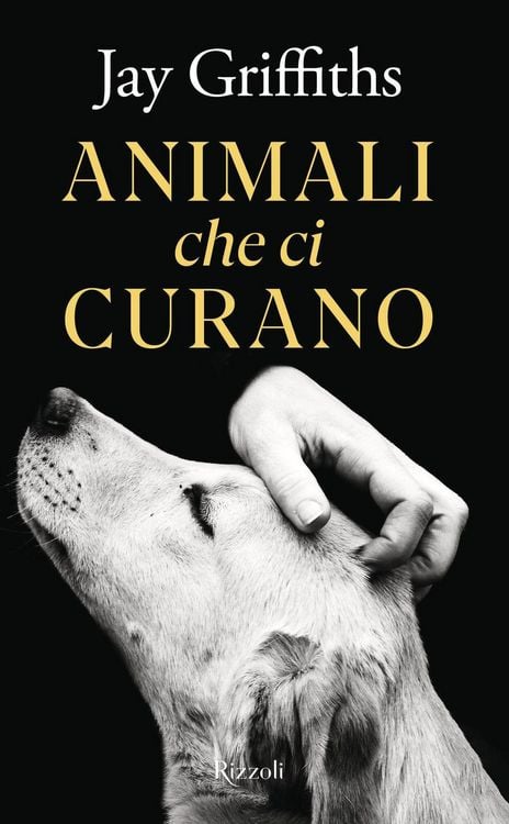 Produktbild: Animali che ci curano