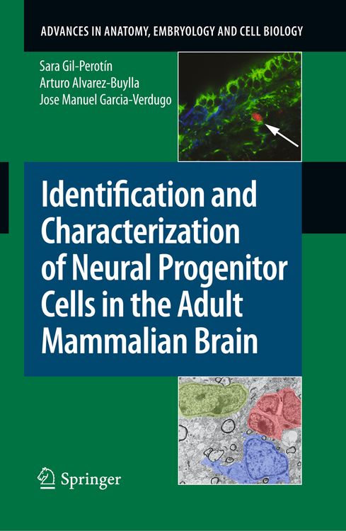 Produktbild: Identification and Characterization of Neural Progenitor Cells in the Adult Mammalian Brain