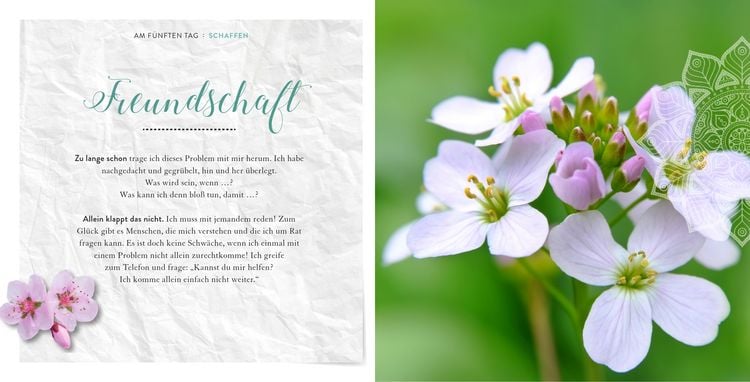 Produktbild: Sieben Tage Harmonie