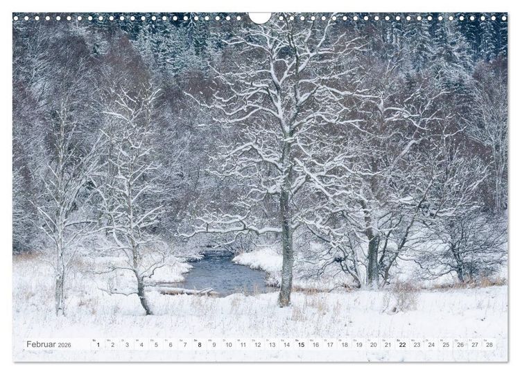 Produktbild: Moore und B&auml;che in Eifel und Ardennen (Wandkalender 2026 DIN A3 quer), CALVENDO Monatskalender