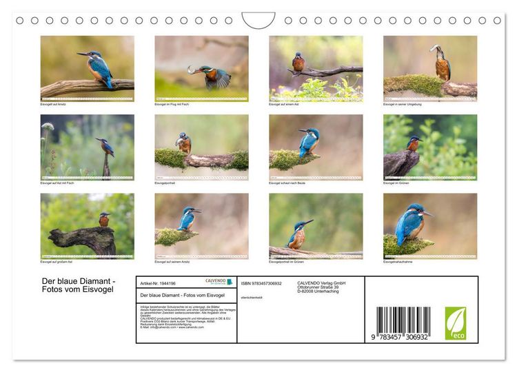 Produktbild: Der blaue Diamant - Fotos vom Eisvogel (Wandkalender 2026 DIN A4 quer), CALVENDO Monatskalender