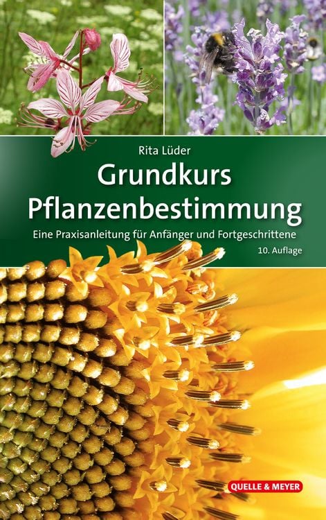 Bild vom Artikel Grundkurs Pflanzenbestimmung vom Autor Rita Lüder