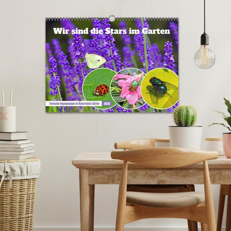 Produktbild: Wir sind die Stars im Garten (Wandkalender 2026 DIN A3 quer), CALVENDO Monatskalender