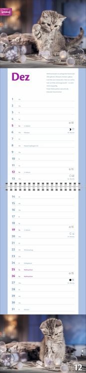 Produktbild: Whiskas Katzenleben Kalender 2027