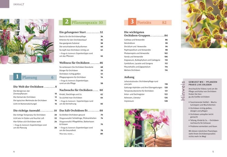 Produktbild: Orchideen pflegen