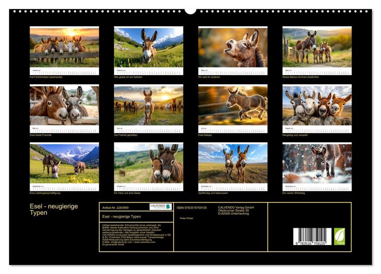 Produktbild: Esel - neugierige Typen (hochwertiger Premium Wandkalender 2027 DIN A2 quer), Kunstdruck in Hochglanz