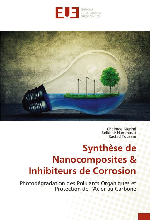 Produktbild: Synth&egrave;se de Nanocomposites & Inhibiteurs de Corrosion