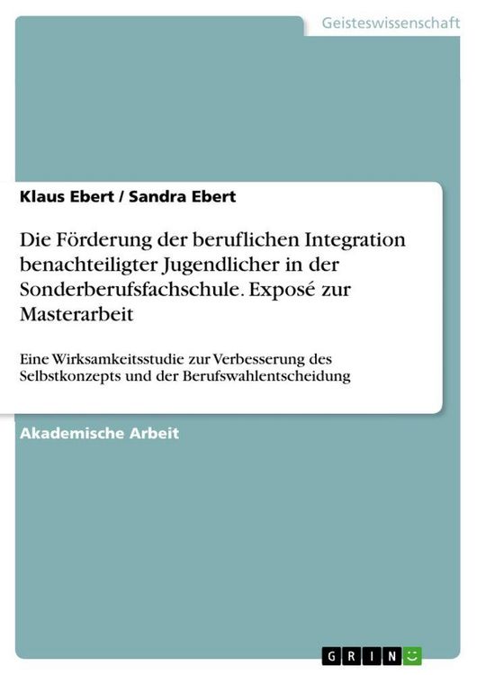 Produktbild: Die F&ouml;rderung der beruflichen Integration benachteiligter Jugendlicher in der Sonderberufsfachschule. Expos&eacute; zur Masterarbeit